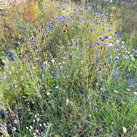 Apartmán Horami - Origami Mit Terrasse *